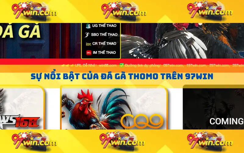 Sự nổi bật của đá gà thomo trên 97win