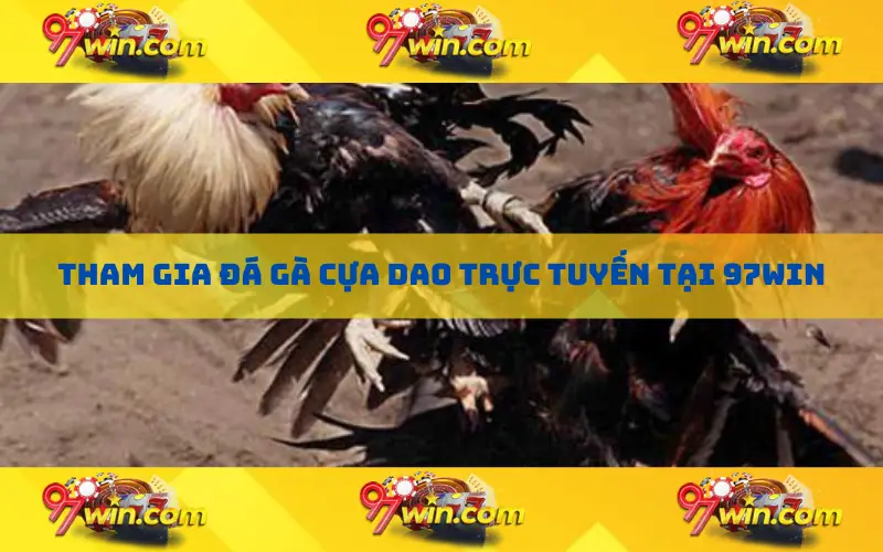 Tham gia đá gà cựa dao trực tuyến tại 97win